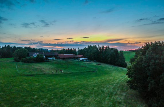 DCIM/100MEDIA/DJI_0983.JPG